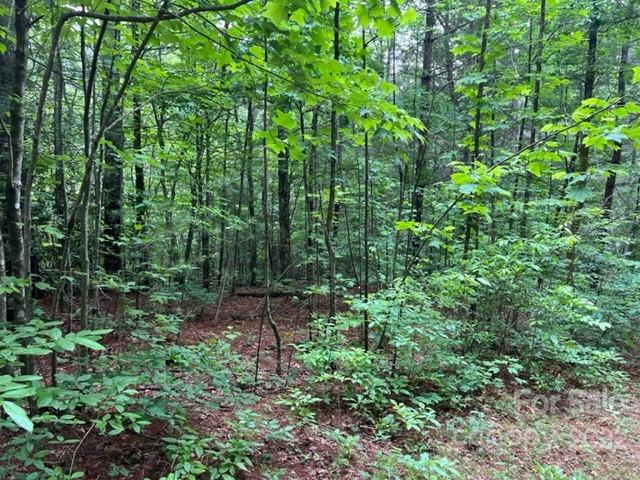 Property image 5 at 0000 Silverstone Drive, Hendersonville, NC 28792