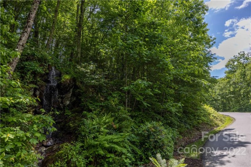 Property image 5 at 31 Bent Branch Lane, Asheville, NC 28804