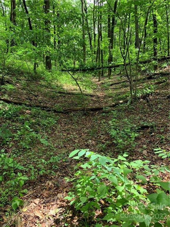 Property image 2 at 00 Valley View Drive, Bostic, NC 28018