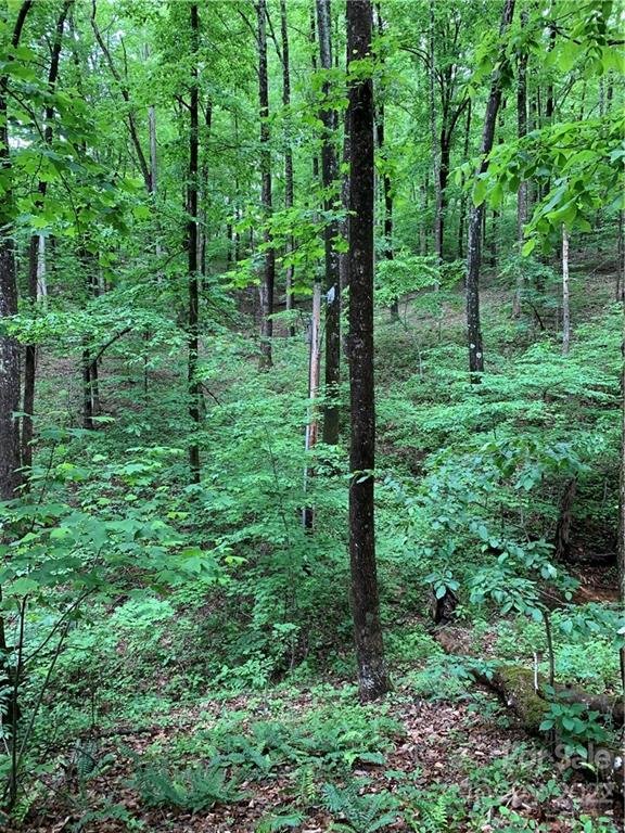 Property image 5 at 00 Valley View Drive, Bostic, NC 28018