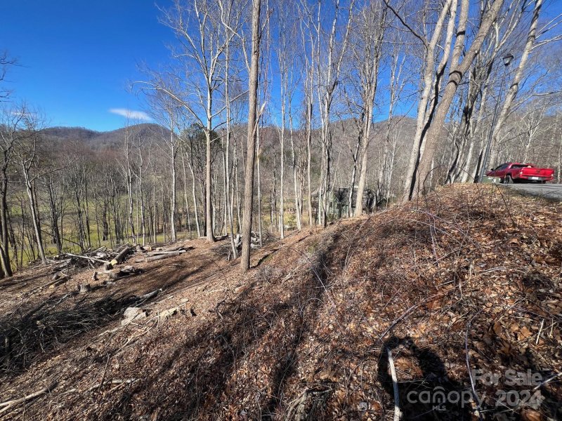 Property image 2 of 0 Divot Drive in Springdale Estates, Canton, NC 28716