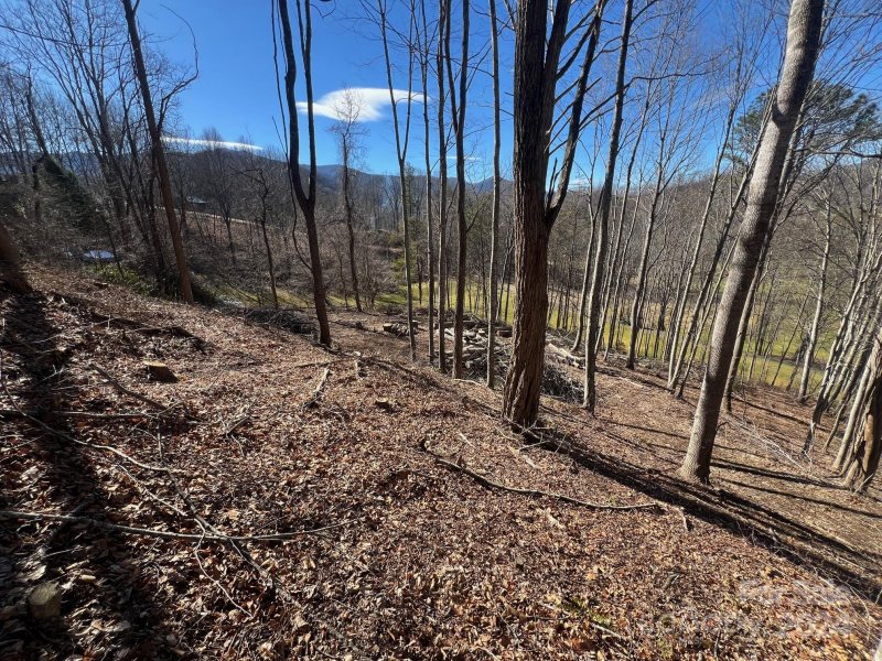 Property image 3 of 0 Divot Drive in Springdale Estates, Canton, NC 28716