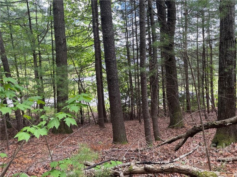 Property image 5 at Lot 40 Sweetbriar Drive, Hendersonville, NC 28739