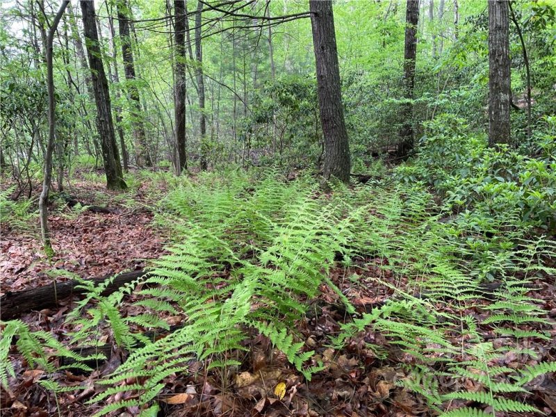 Property image 4 at 35 W Fairway Drive, Etowah, NC 28729