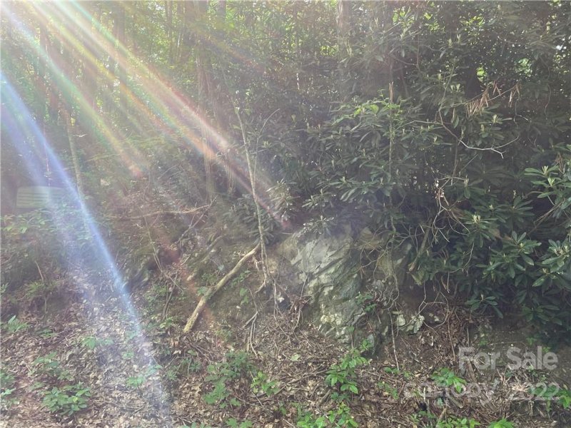 Property image 3 at 235 Ravenwood Lane, Horse Shoe, NC 28742