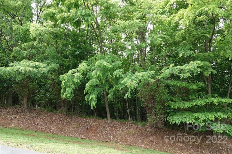 Property image 3 at 105 Tahawus Drive, Bostic, NC 28018