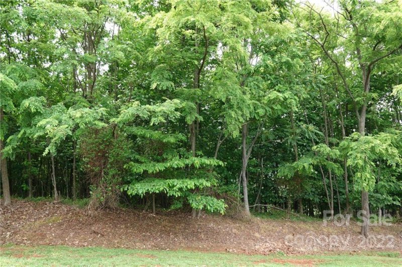 Property image 4 at 105 Tahawus Drive, Bostic, NC 28018