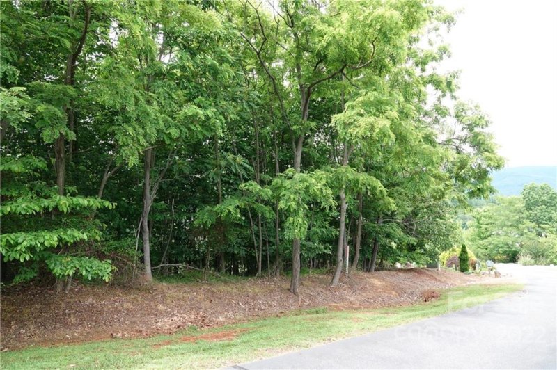 Property image 5 at 105 Tahawus Drive, Bostic, NC 28018