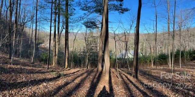 Property image 2 at 64 Longspur Lane, Asheville, NC 28804