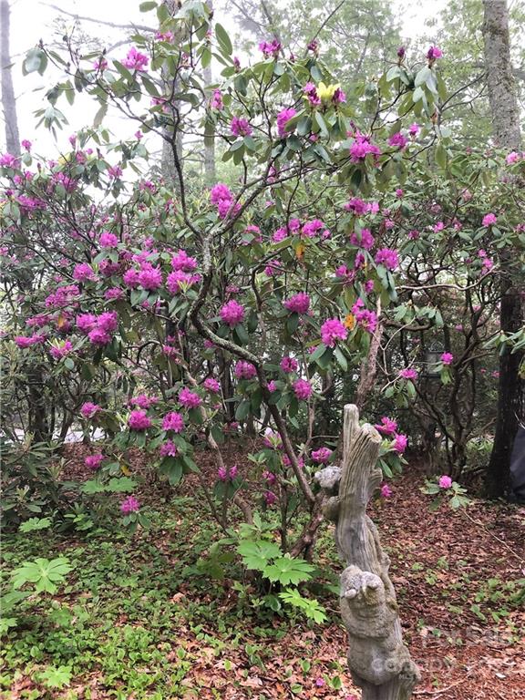 Property image 2 at 192 Black Pine Road, Newland, NC 28657