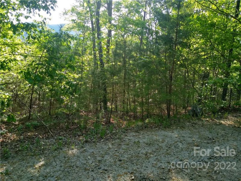 Property image 3 at Lot 221 Davids Drive, Lake Lure, NC 28746