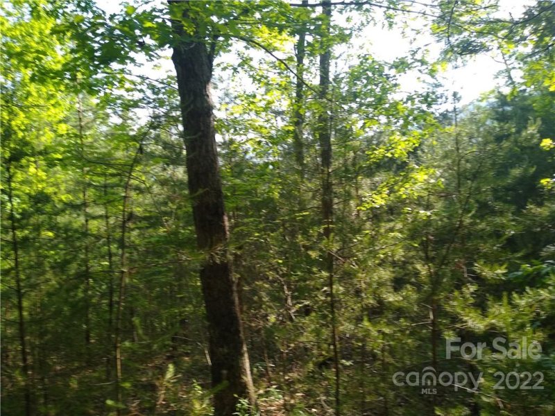 Property image 4 at Lot 221 Davids Drive, Lake Lure, NC 28746