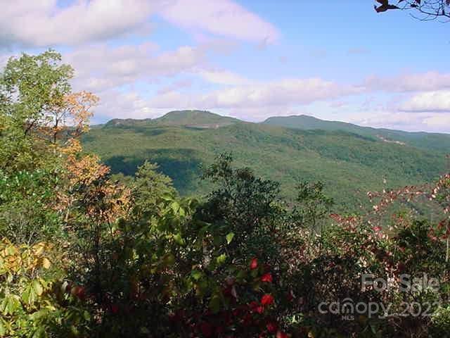 Property image 2 of Lot 361 Hickory Nut Lane in Riverbend Highlands, Lake Lure, NC 28746