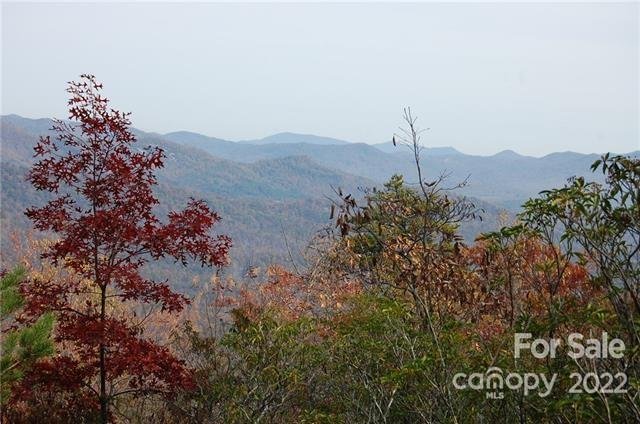 Property image 5 of Lot 361 Hickory Nut Lane in Riverbend Highlands, Lake Lure, NC 28746