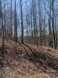 Property image 3 at 73 Mountain Lookout Drive, Bostic, NC 28018