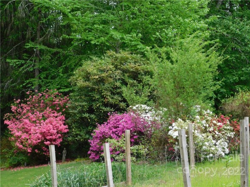 Property image 5 at 353 Hawthorne Drive, Brevard, NC 28712