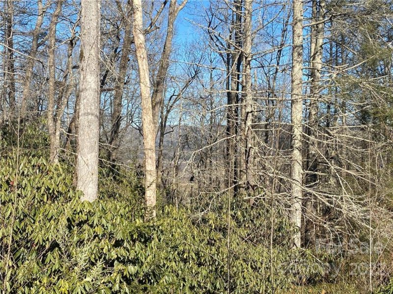 Property image 2 at Tbd Pisgah Forest Drive, Pisgah Forest, NC 28768