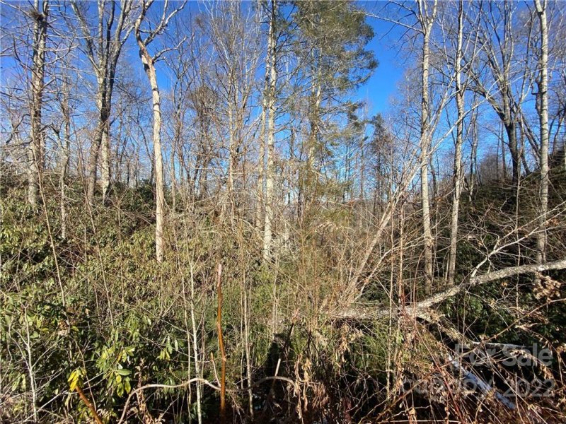 Property image 4 at Tbd Pisgah Forest Drive, Pisgah Forest, NC 28768