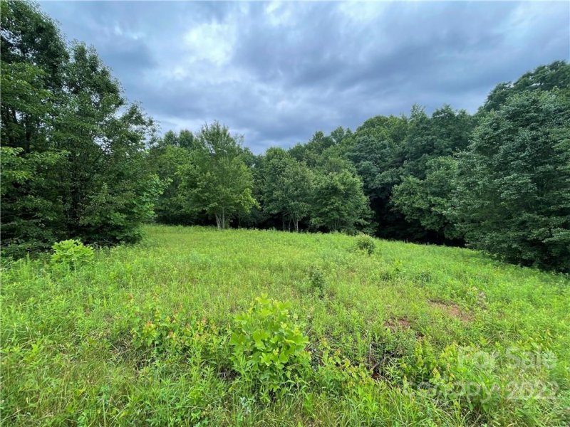 Property image 2 at 00 Stable Brook Lane, Taylorsville, NC 28681