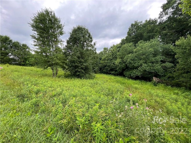 Property image 3 at 00 Stable Brook Lane, Taylorsville, NC 28681