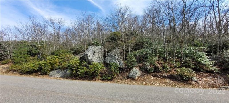 Property image 2 at Tbd Algonquin Drive, Boone, NC 28607