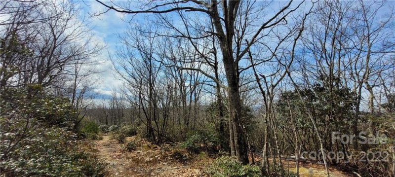 Property image 3 at Tbd Algonquin Drive, Boone, NC 28607