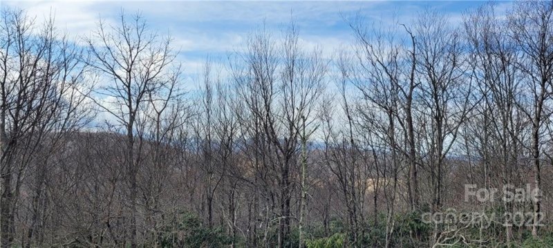 Property image 4 at Tbd Algonquin Drive, Boone, NC 28607