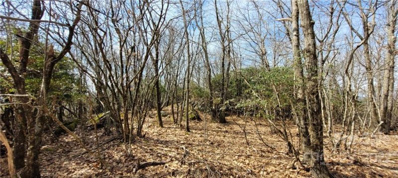 Property image 5 at Tbd Algonquin Drive, Boone, NC 28607