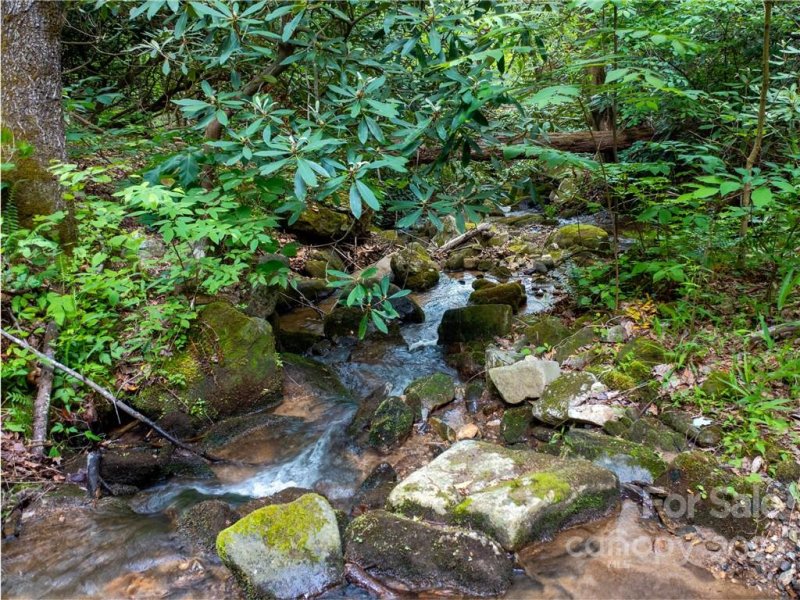 Property image 2 of Lot 2072 Anthony Court in Brights Creek, Mill Spring, NC 28756