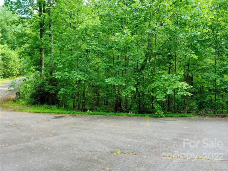 Property image 3 of Lot 2072 Anthony Court in Brights Creek, Mill Spring, NC 28756