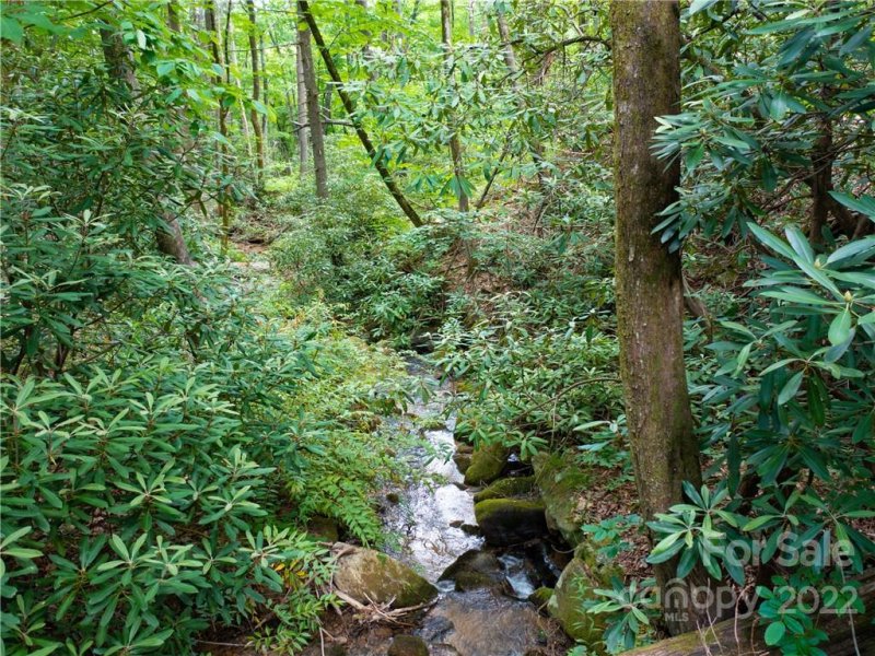 Property image 4 of Lot 2072 Anthony Court in Brights Creek, Mill Spring, NC 28756