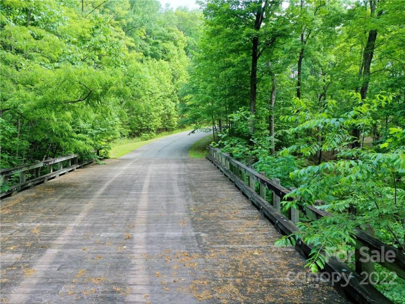 Property image 5 of Lot 2072 Anthony Court in Brights Creek, Mill Spring, NC 28756