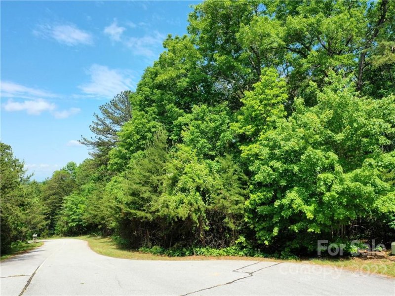 Property image 5 of Lot 295 Eastman Place in Brights Creek, Mill Spring, NC 28756