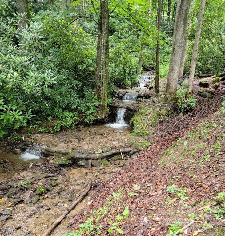 Property image 5 at 121 Creekside Drive, Maggie Valley, NC 28751