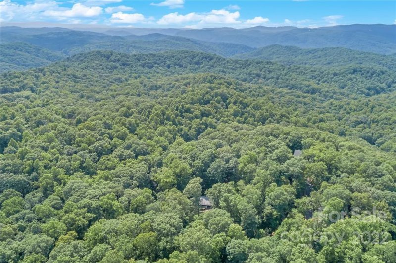 Property image 5 at 77 Bear Track Lane, Saluda, NC 28773