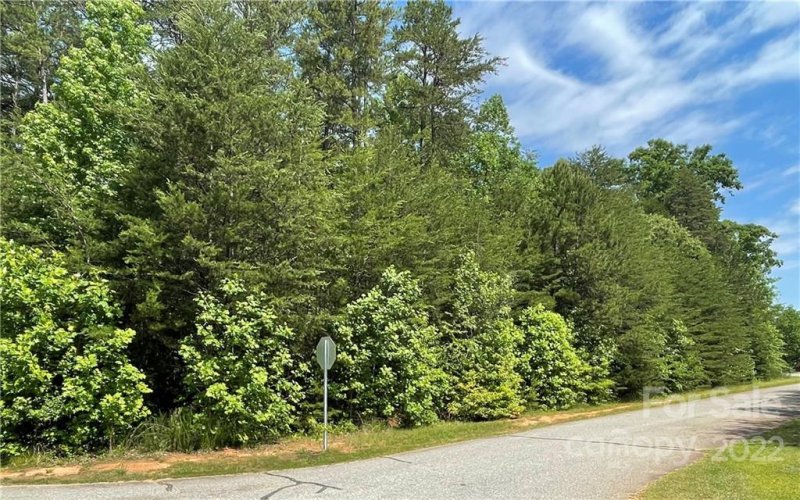 Property image 2 at Lot 41 Arden Gate Drive, Iron Station, NC 28080