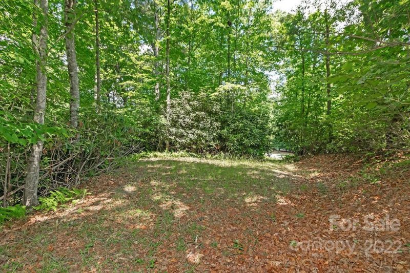 Property image 4 at Lot 53 New Castle Road, Brevard, NC 28712
