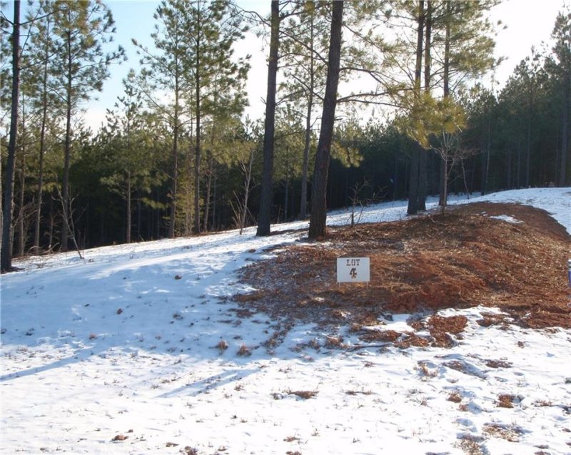 Property image 4 at 0 Ashley Court, Mill Spring, NC 28756