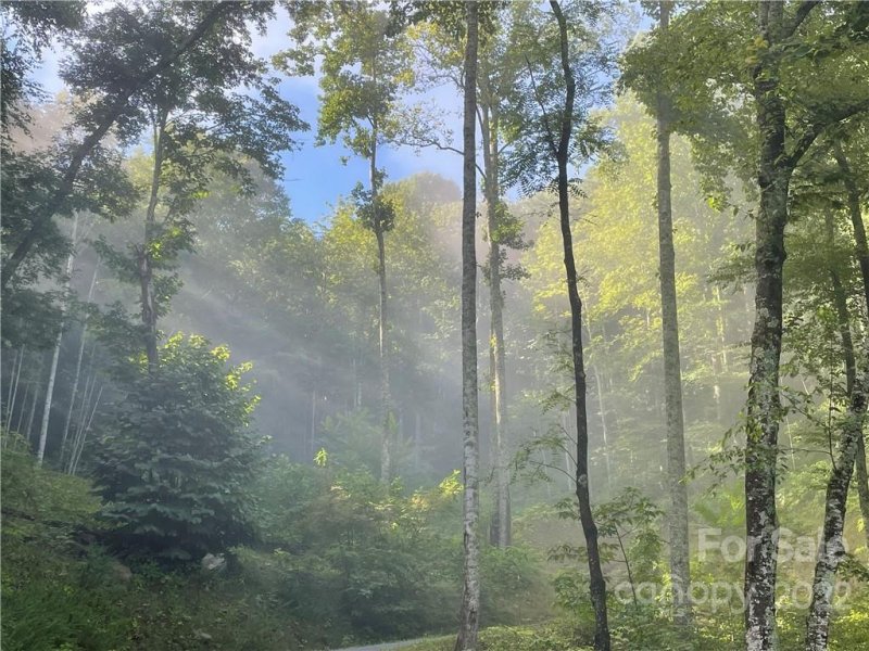 Property image 2 at 297 High Hickory Trail, Swannanoa, NC 28778