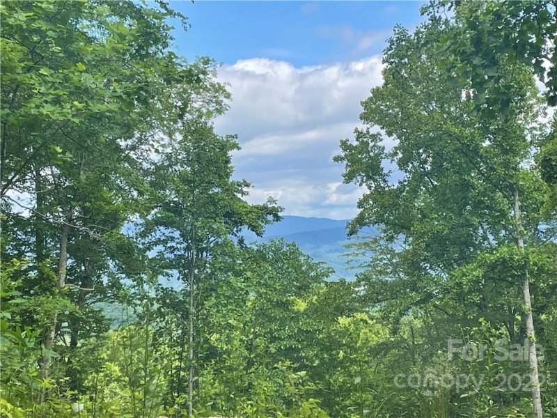 Property image 3 at 297 High Hickory Trail, Swannanoa, NC 28778