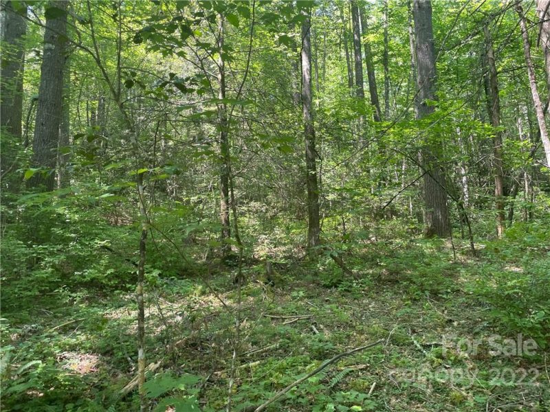 Property image 2 at 0000 Trillium Lane, Rosman, NC 28772