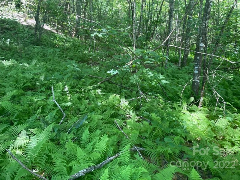 Property image 3 at 0000 Trillium Lane, Rosman, NC 28772