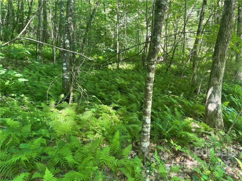 Property image 4 at 0000 Trillium Lane, Rosman, NC 28772