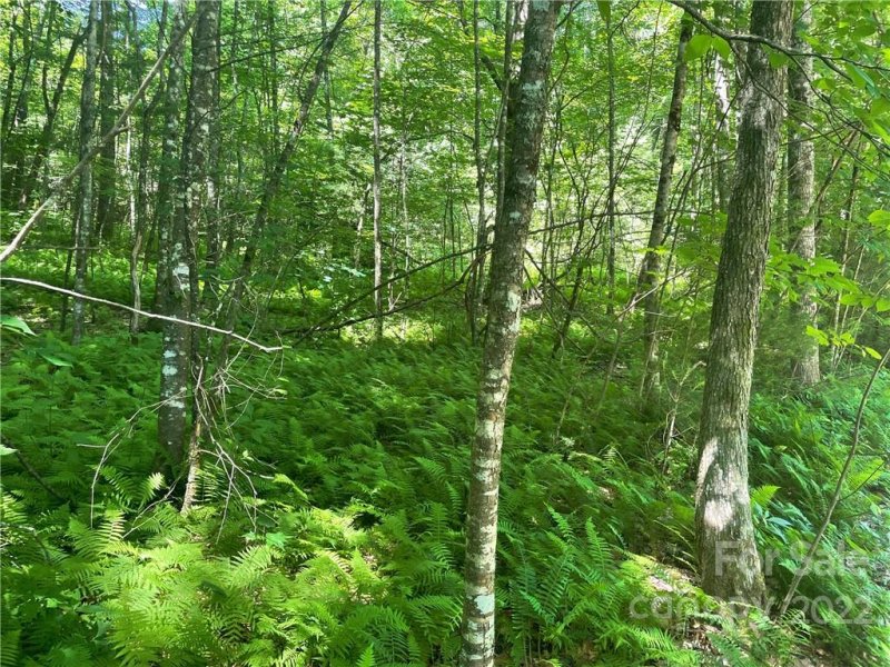 Property image 5 at 0000 Trillium Lane, Rosman, NC 28772