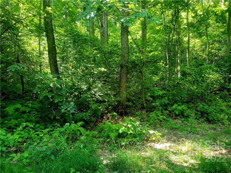 Property image 3 at 00 Catawba Ridge, Maggie Valley, NC 28751