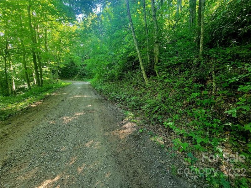 Property image 4 at 00 Catawba Ridge, Maggie Valley, NC 28751