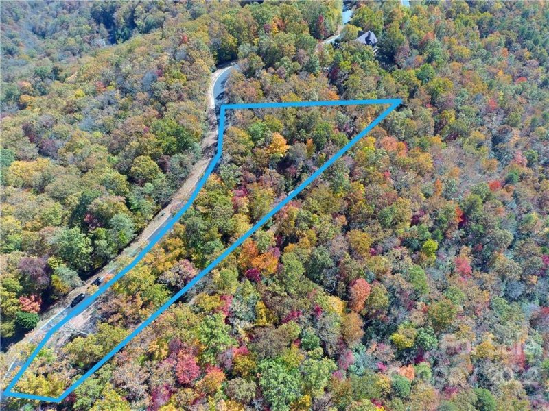 Property image 3 at 1167 Mills River Way, Horse Shoe, NC 28742