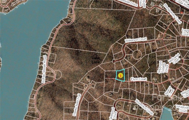 Property image 3 at Lot 43 Flynn Court, Lake Lure, NC 28746