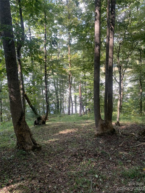 Property image 2 at 145 Glass Water Point, Valdese, NC 28690