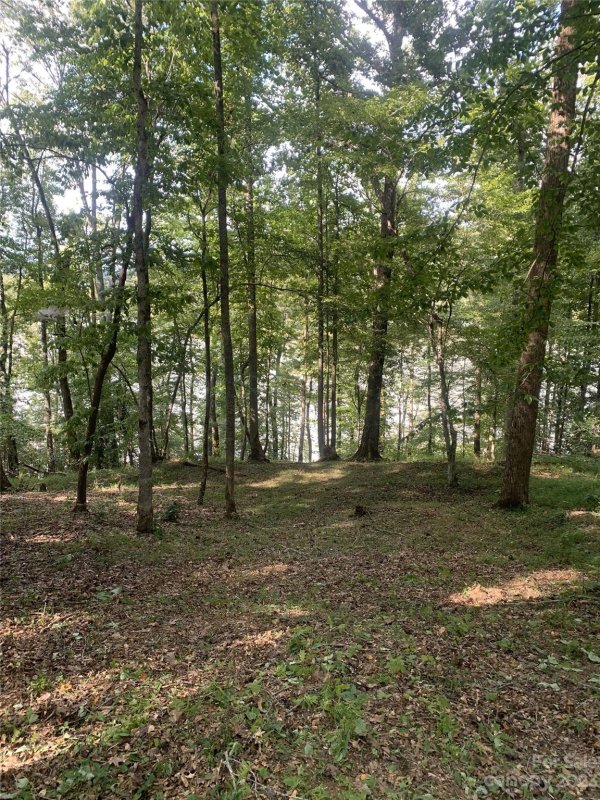 Property image 3 at 145 Glass Water Point, Valdese, NC 28690